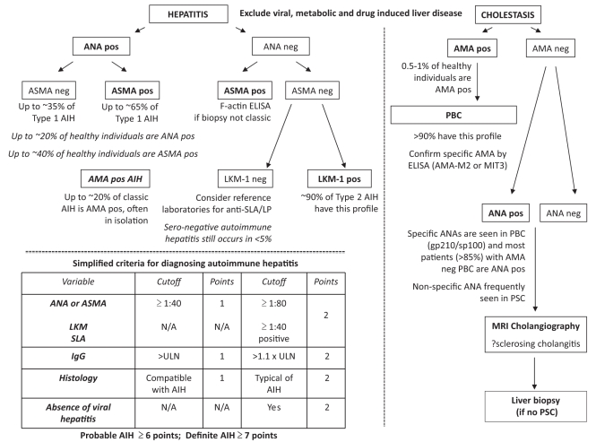 Figure 1)