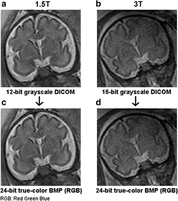 Fig. 7