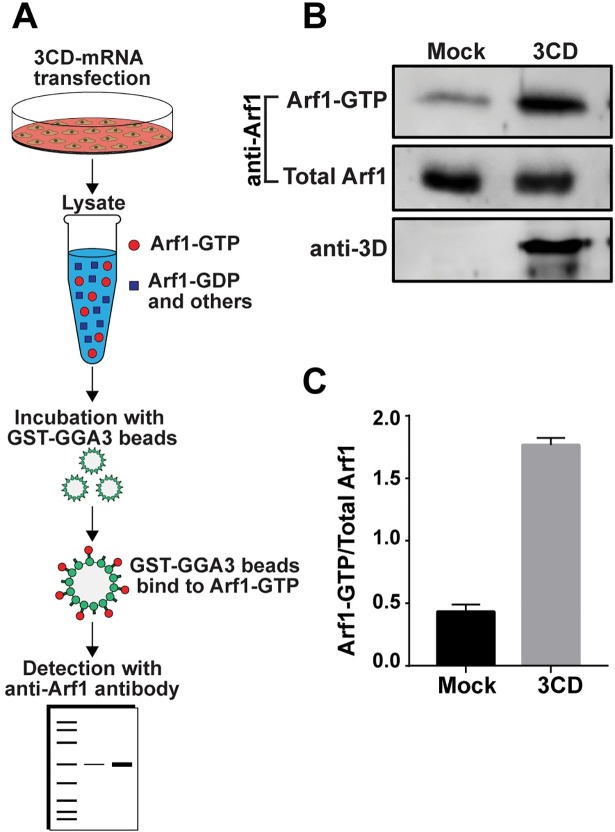 Fig 3