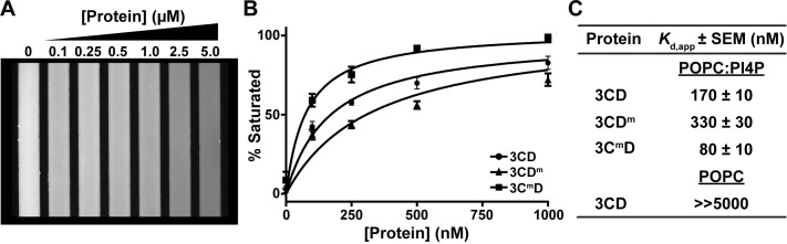 Fig 8