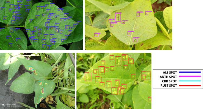 Figure 12