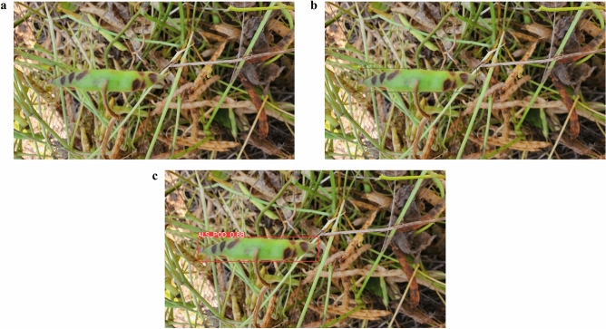 Figure 14