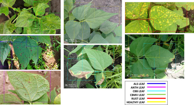 Figure 11