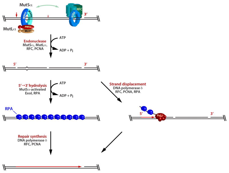 FIGURE 13