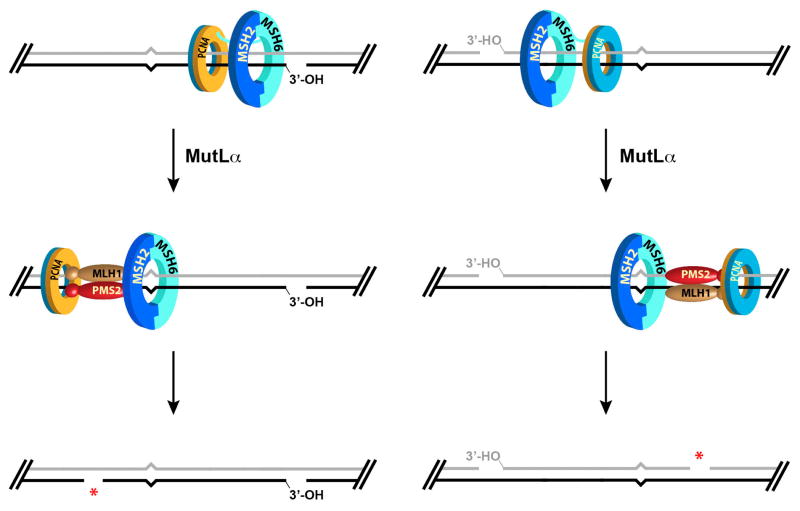 FIGURE 15