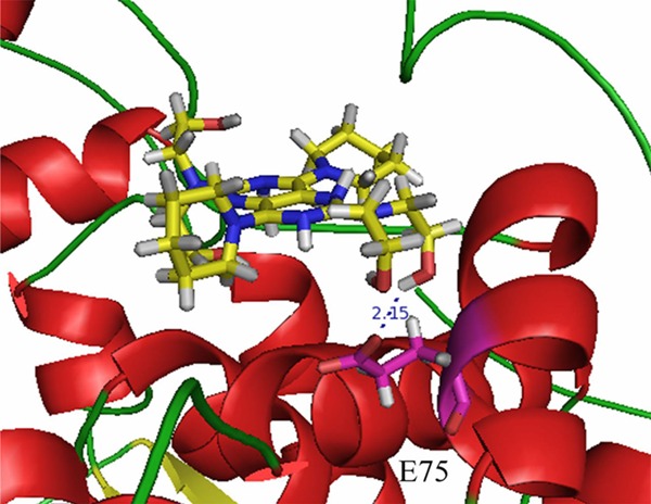 Figure 7