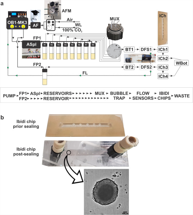 Fig. 1