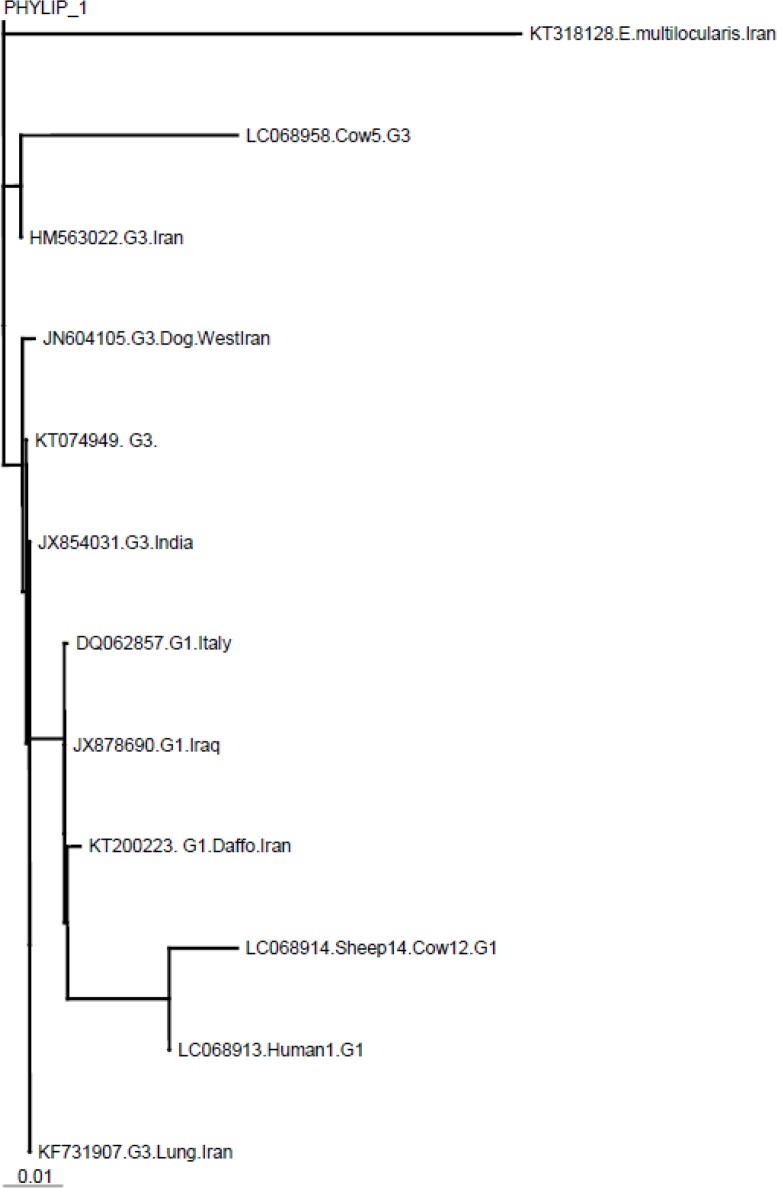 Fig. 2: