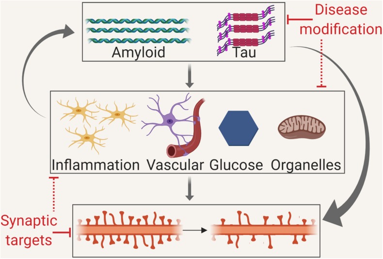 GRAPHICAL ABSTRACT