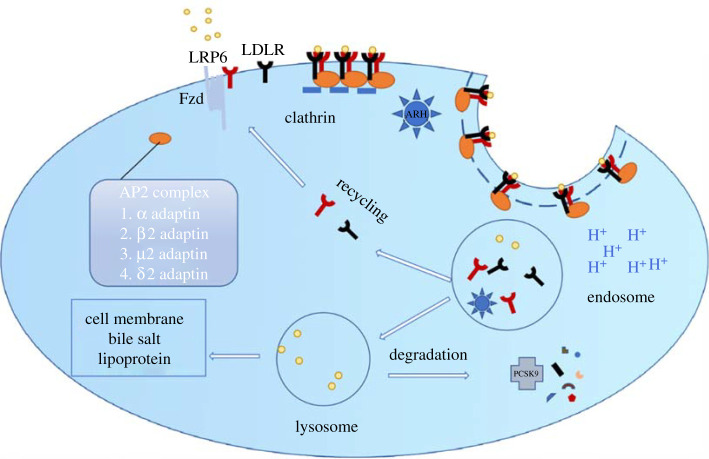 Figure 2.