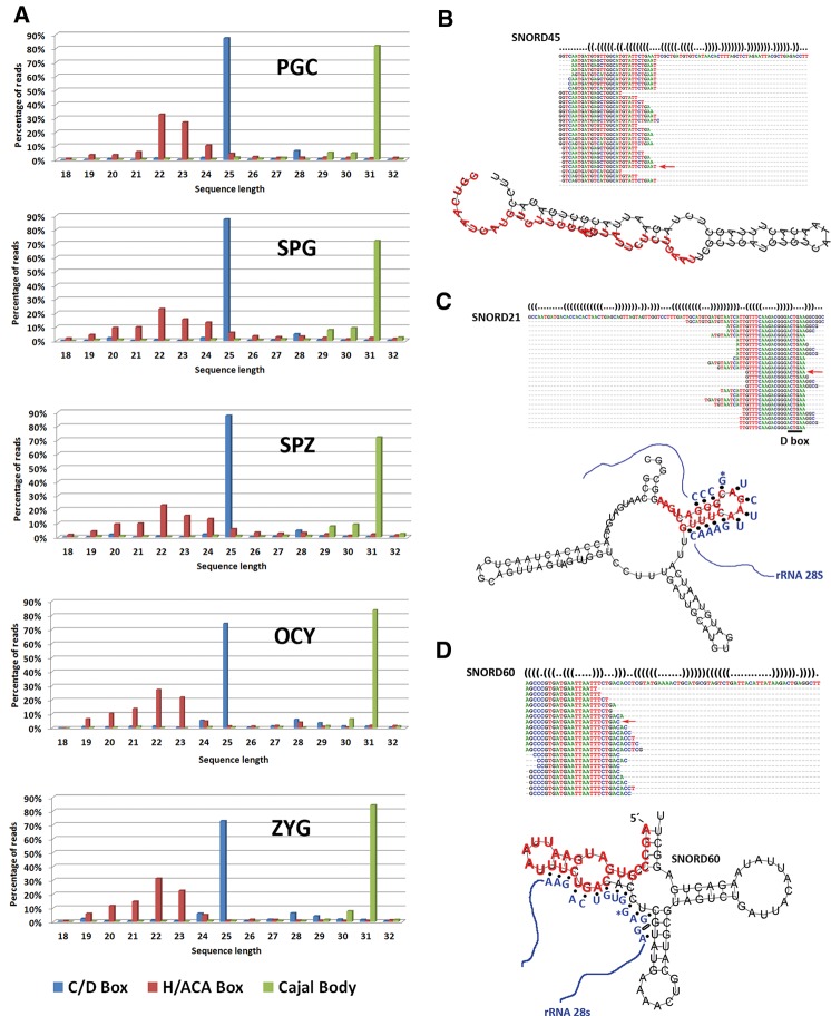 FIGURE 7.