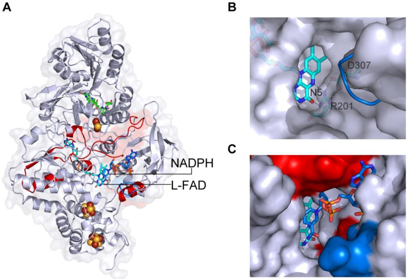 Figure 4 |