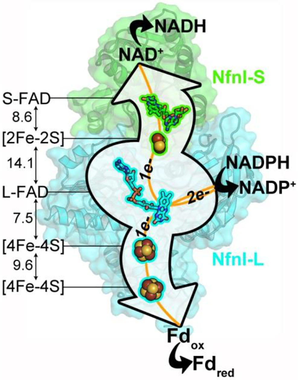 Figure 1 |