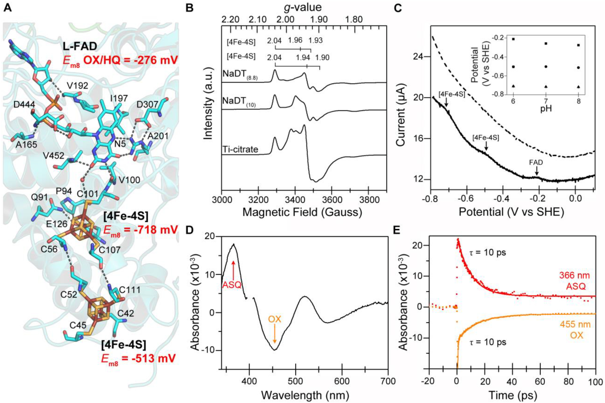 Figure 3 |