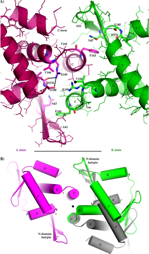 FIGURE 3.