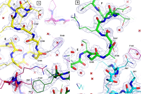 FIGURE 2.