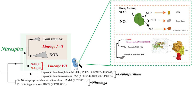 Image, graphical abstract