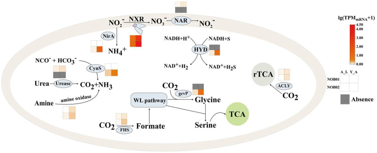 Fig. 4