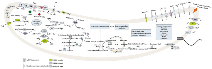 Fig. 3