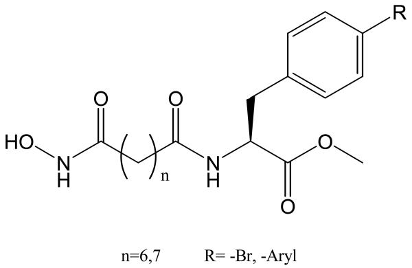 Chart 7