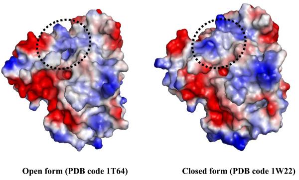 Fig. (2)