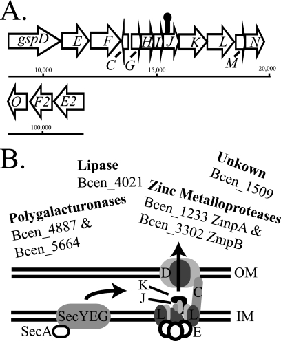 FIG. 6.