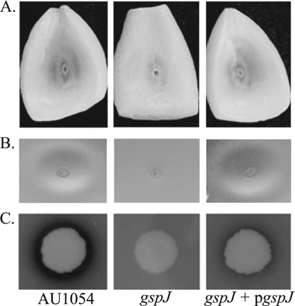 FIG. 4.