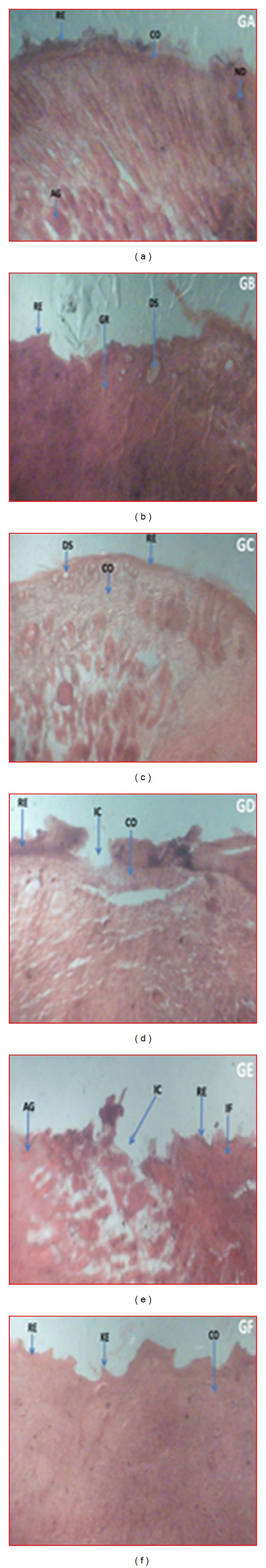 Figure 10