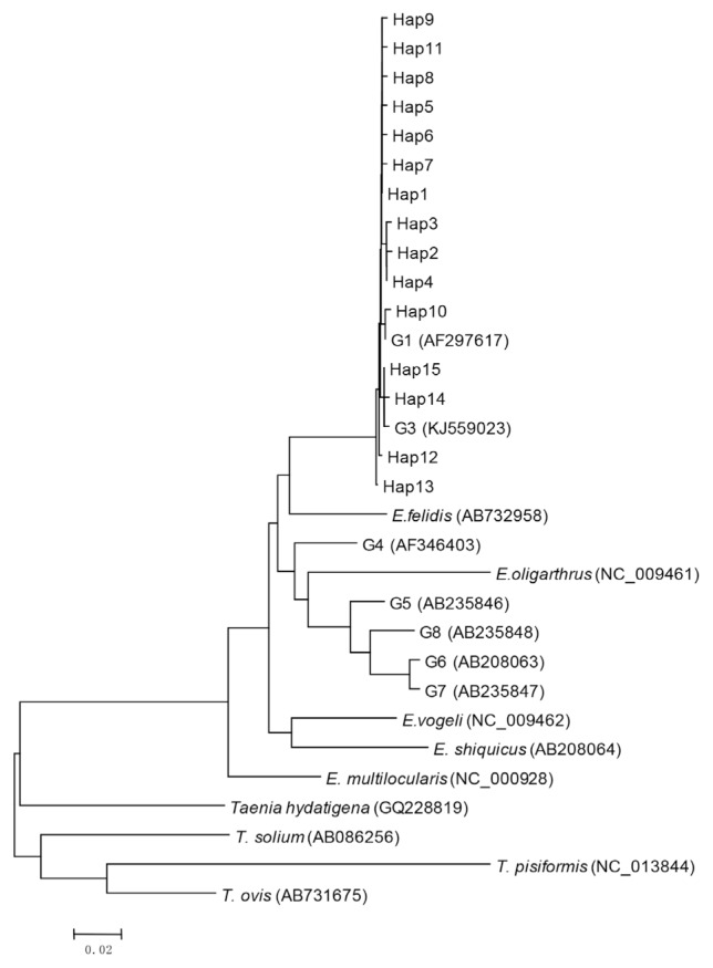 Fig. 1