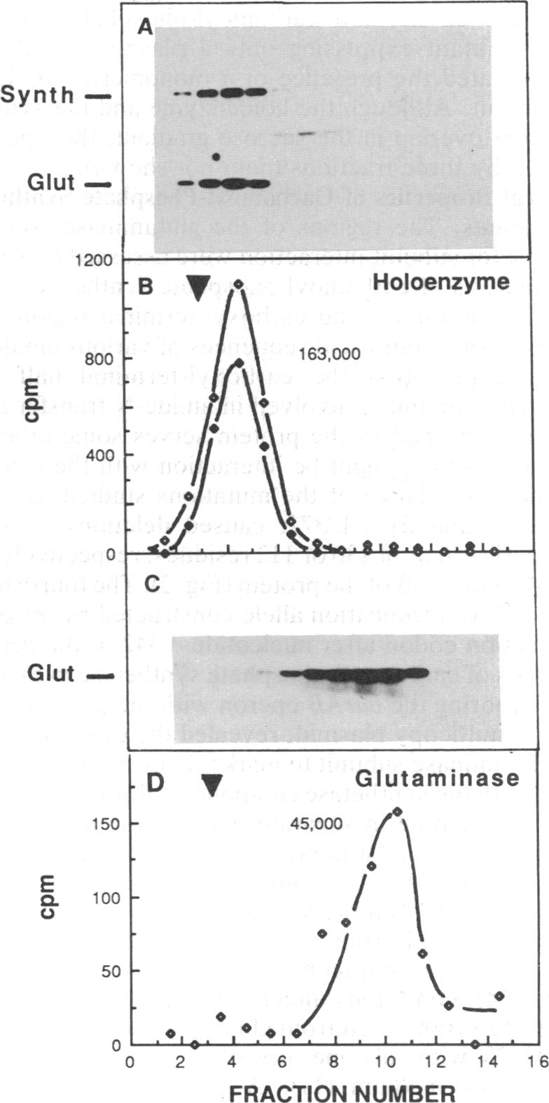 graphic file with name pnas00288-0140-a.jpg