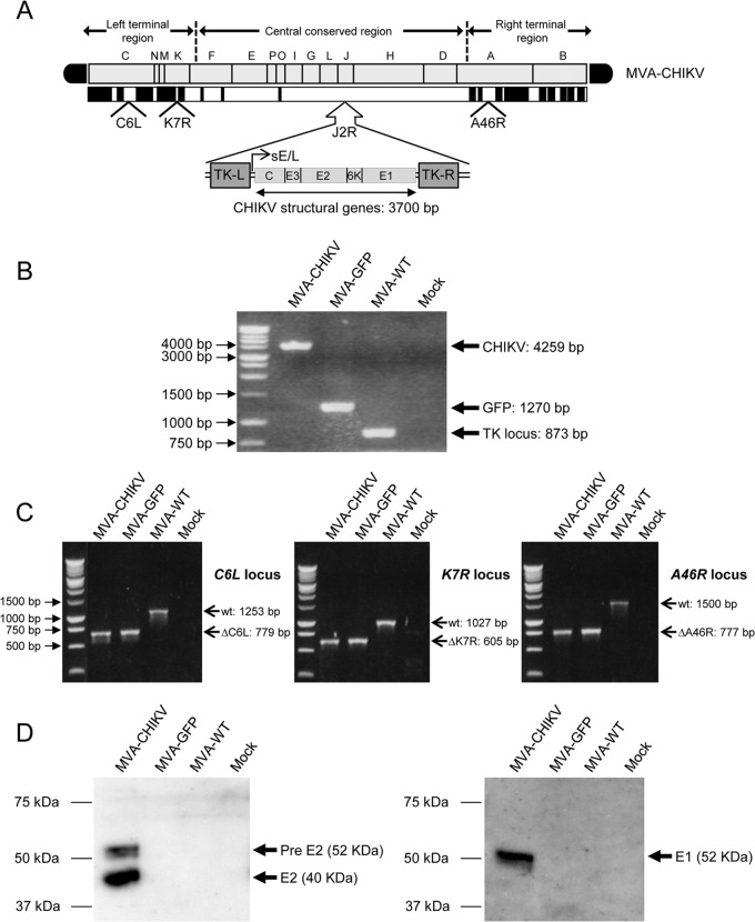 FIG 1