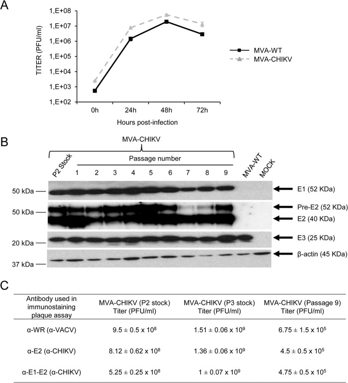 FIG 2