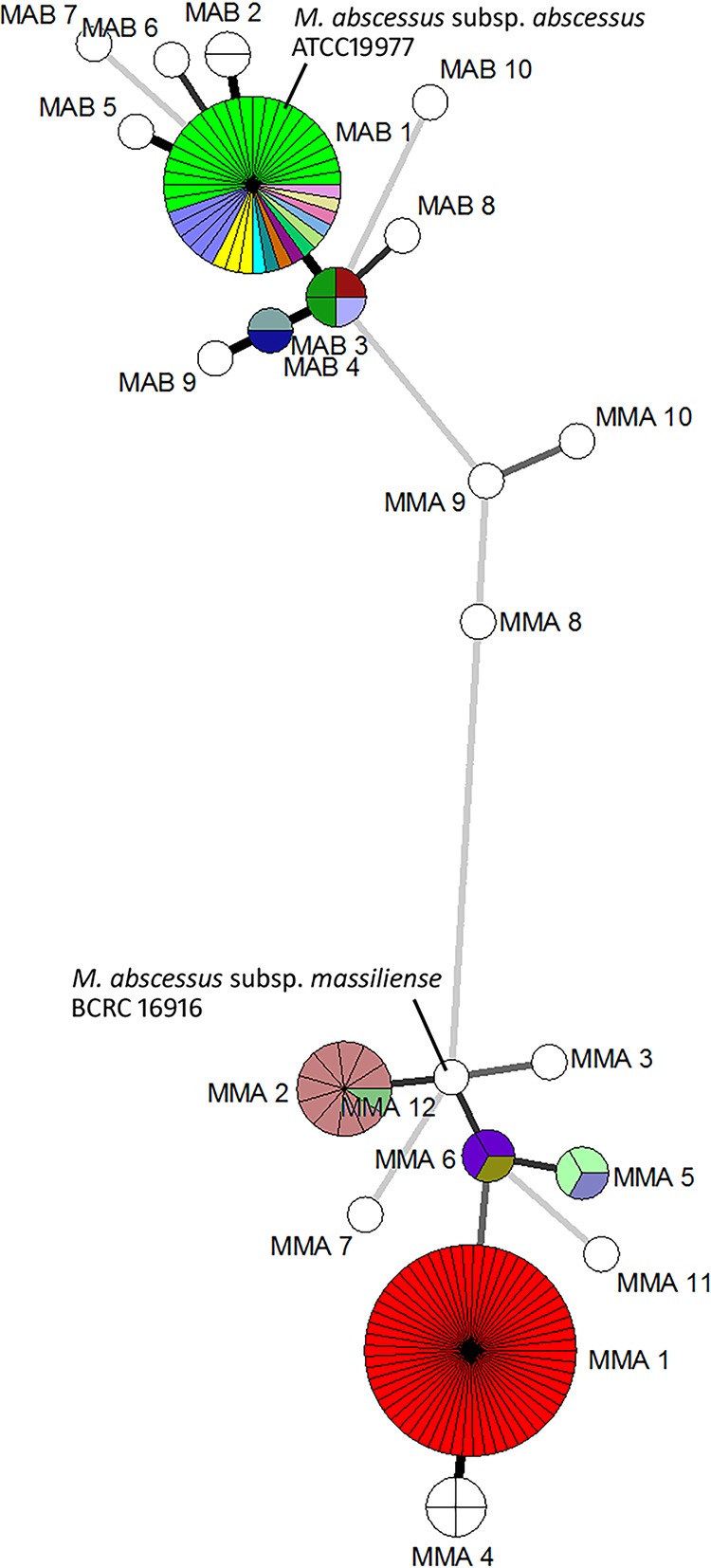 FIG 2