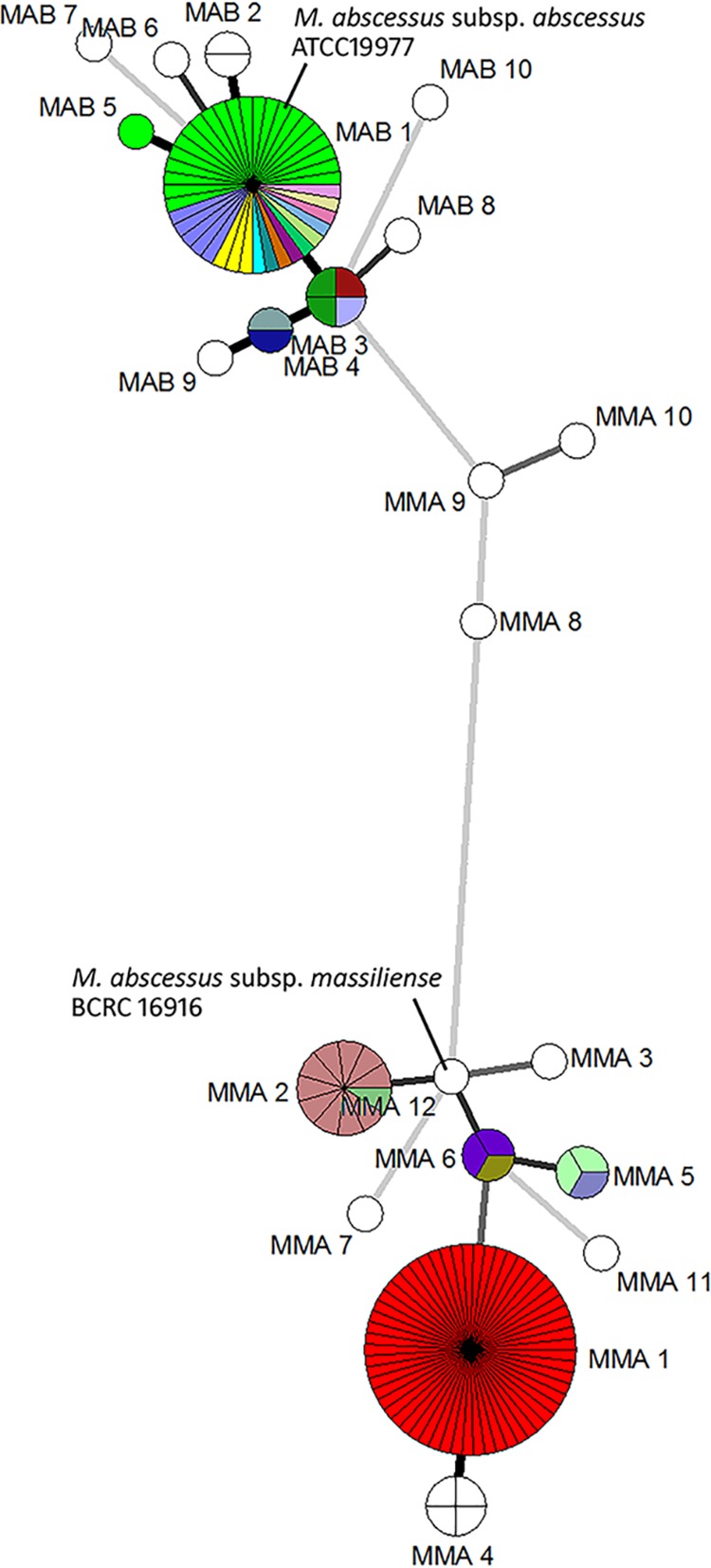 FIG 1