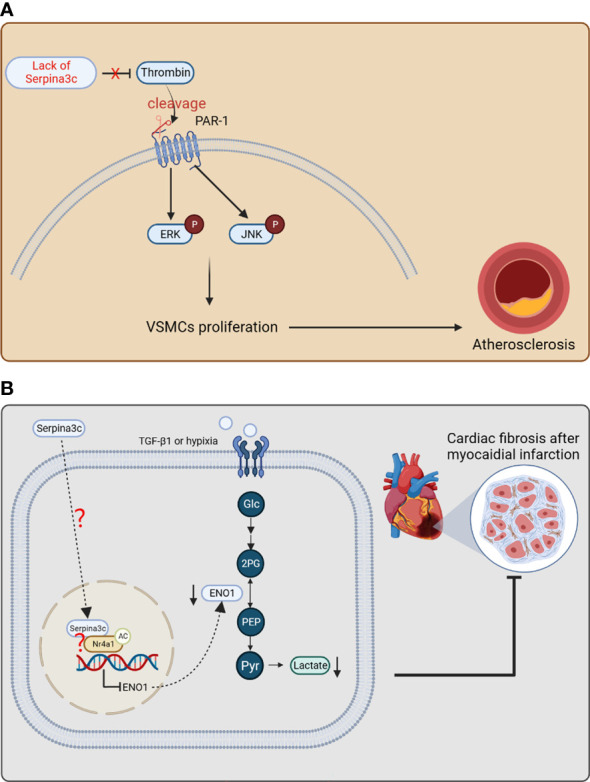 Figure 6