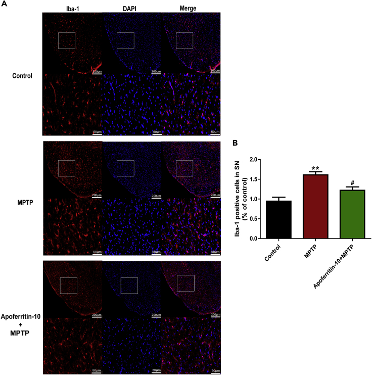 Figure 3