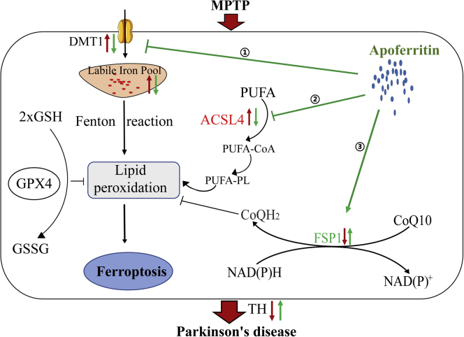 Figure 6