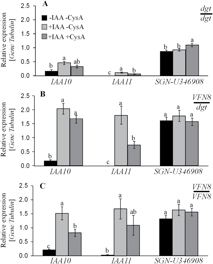 Fig. 7.