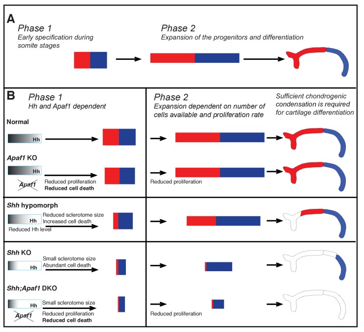 Figure 7.