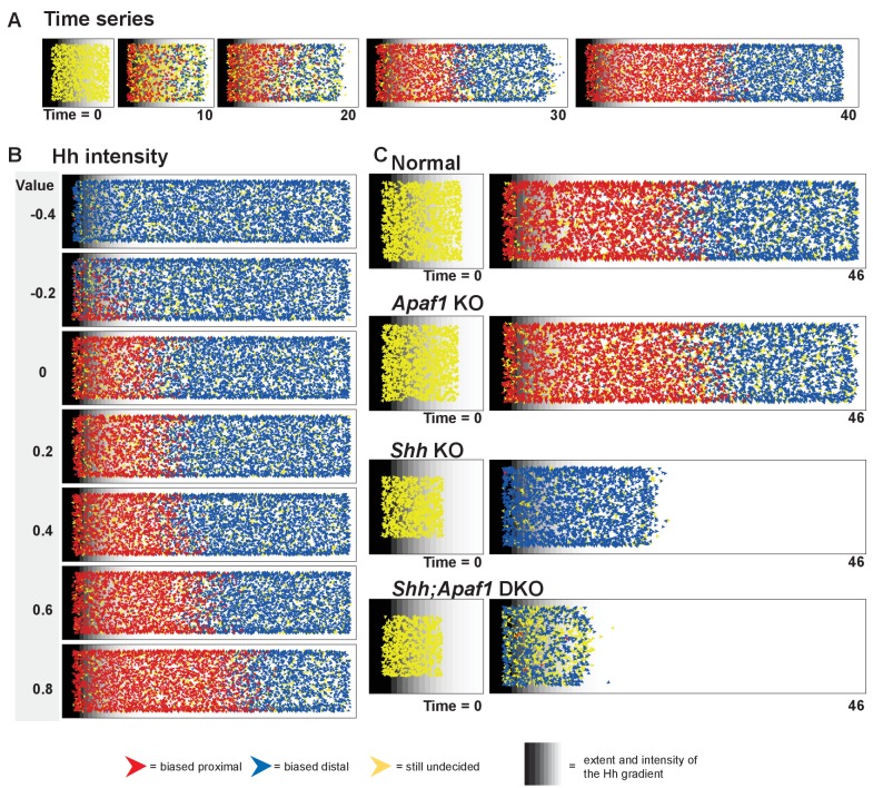 Figure 6.