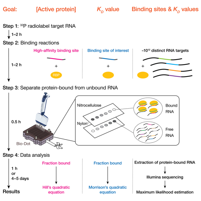 graphic file with name fx1.jpg