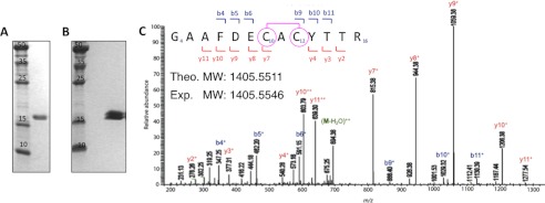 FIGURE 2.