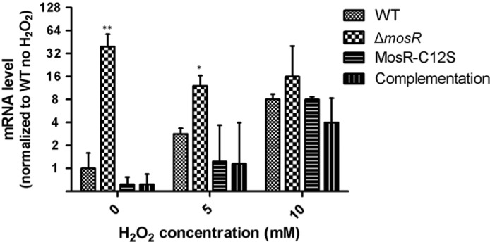 FIGURE 6.