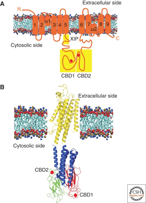 Figure 3.