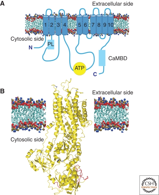 Figure 2.