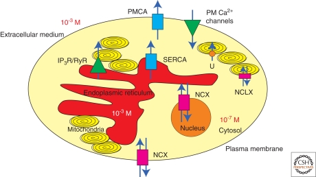 Figure 1.