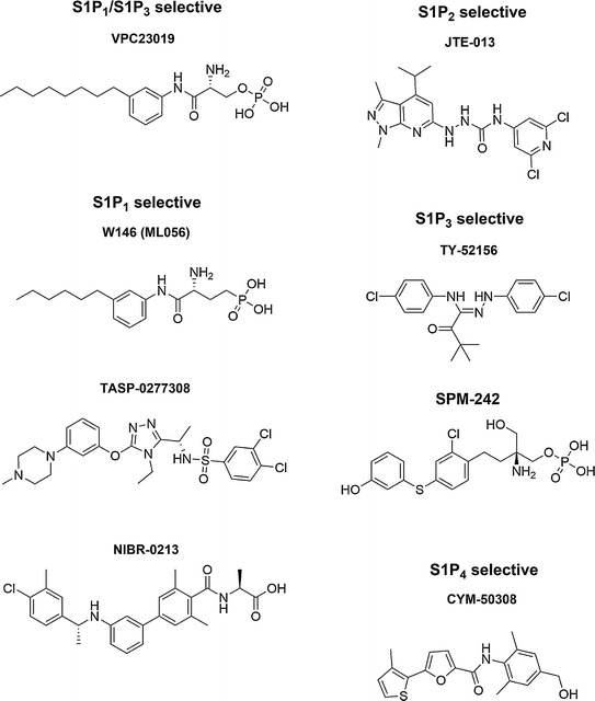 Fig. 2