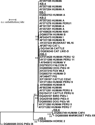 Fig. 2.