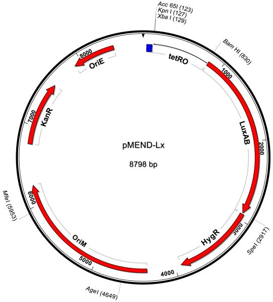 Fig 4a