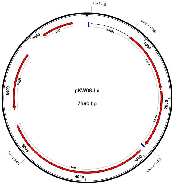 Fig 4b